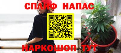 тгк Моздок