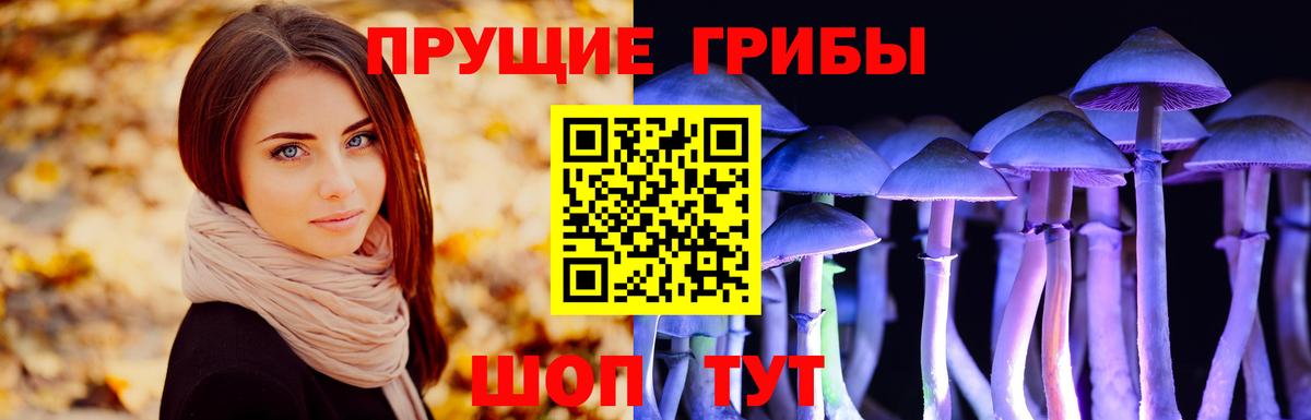 Псилоцибиновые грибы ЛСД  Вход с VPN  Южноуральск 
